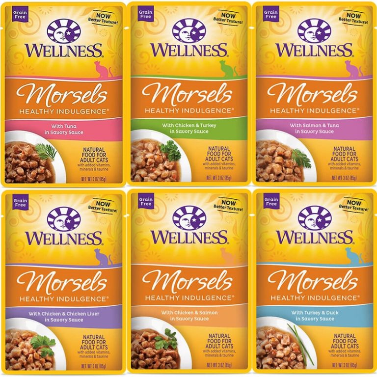 Wellness Healthy Indulgence Cat Pouches Pet Central